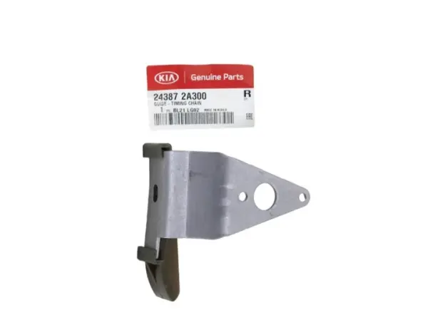 Eksantrık Zıncır Gaydı 243872A300