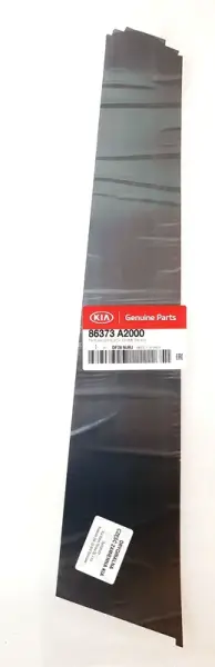 On Kapı Bandı Sıyah Arka Cerceve Sag 86373A2000