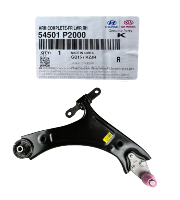 Alt Salıncak Sag 54501P2000