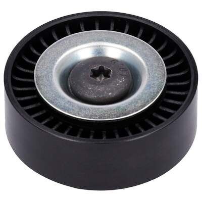 RİO V Kayıs Gergi Bilyası 252882A600