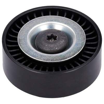 Rio V Kayıs Gergi Bilyası 252882A600