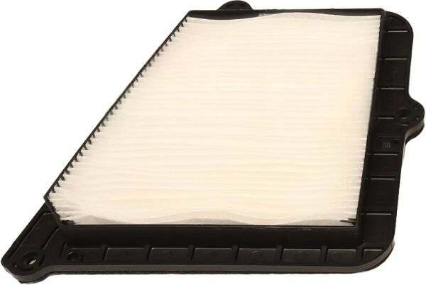 Polen Fıltresı 976194E000