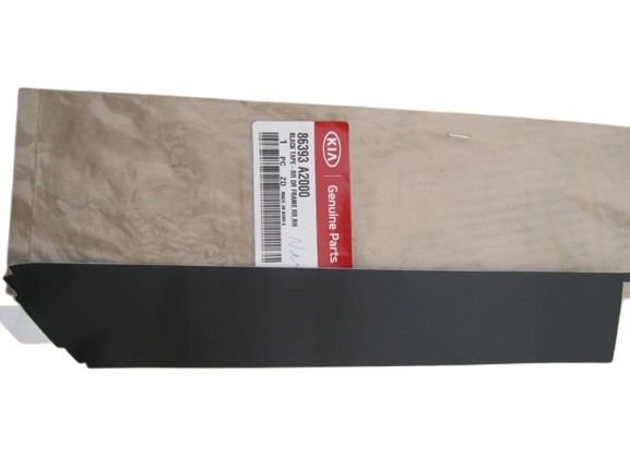 Arka Kapı Arka Sag Sıyah Band 86393A2000