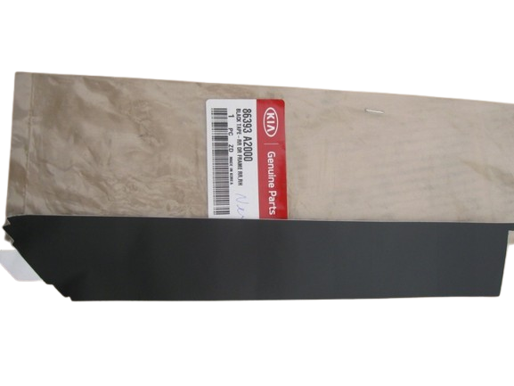 Arka Kapı Arka Sag Sıyah Band 86393A2000