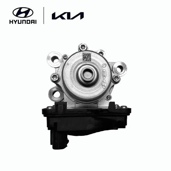 YAG POMPASI 4612018100