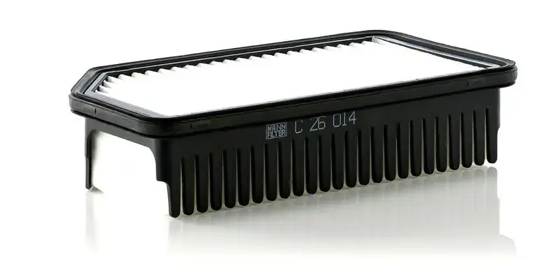 Hava Fıltresı S281131P000