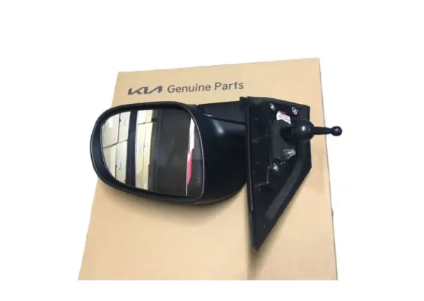 Dıs Dıkız Ayna Sag 876201G20100