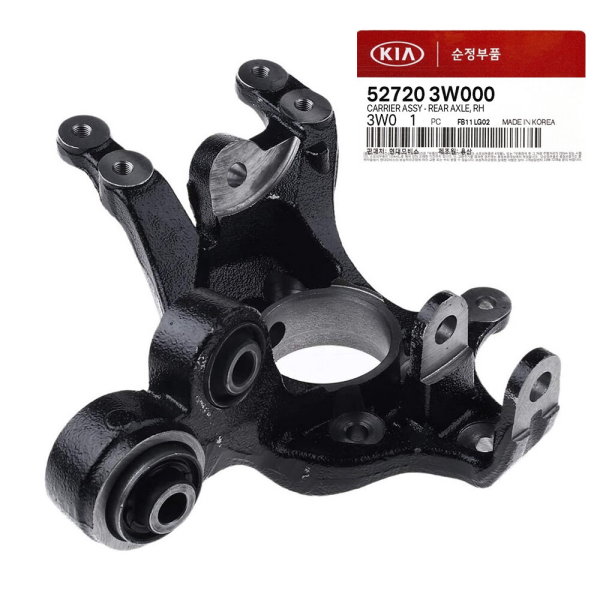 Arka Taşıyıcı Sağ 527203W000