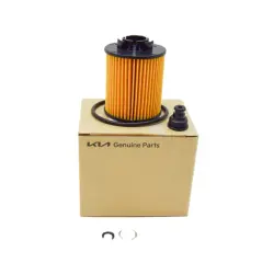 Yag Fıltre Icı 263502M100