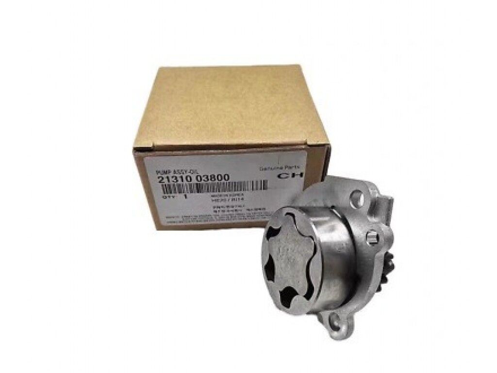 YAG POMPASI 2131003800