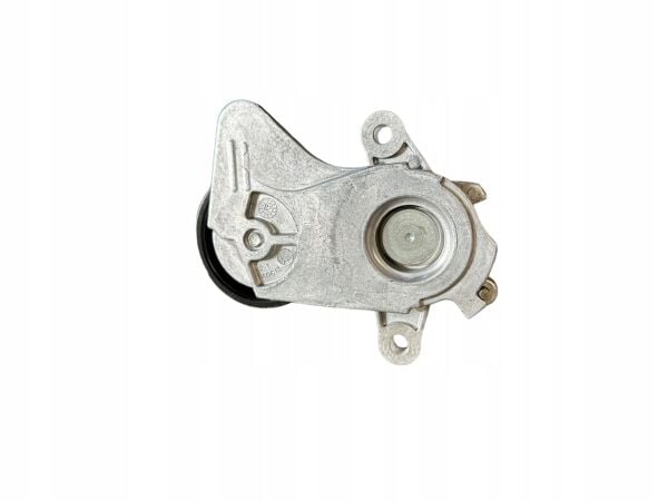 PİCANTO Eksantrık Gergı Yatagı 2528107006