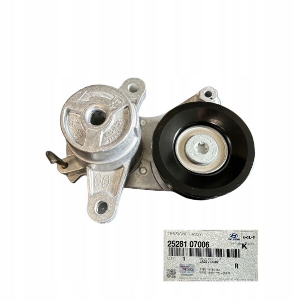 PİCANTO Eksantrık Gergı Yatagı 2528107006