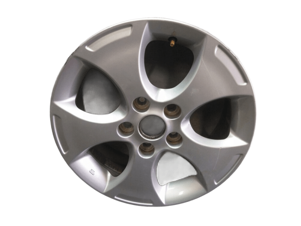 JANT ALUMINYUM 529101P100