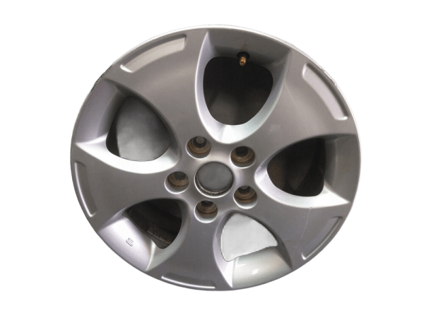 Jant Alumınyum 529101P100