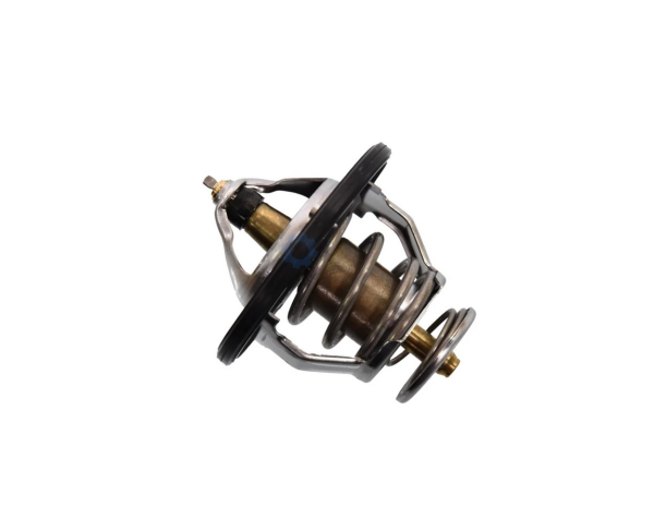 Termostat 2550035540
