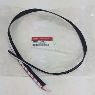 ON CAM YAN CITASI SAG 861301P011