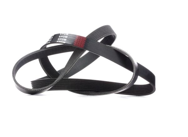 V-Kayısı 252124A650