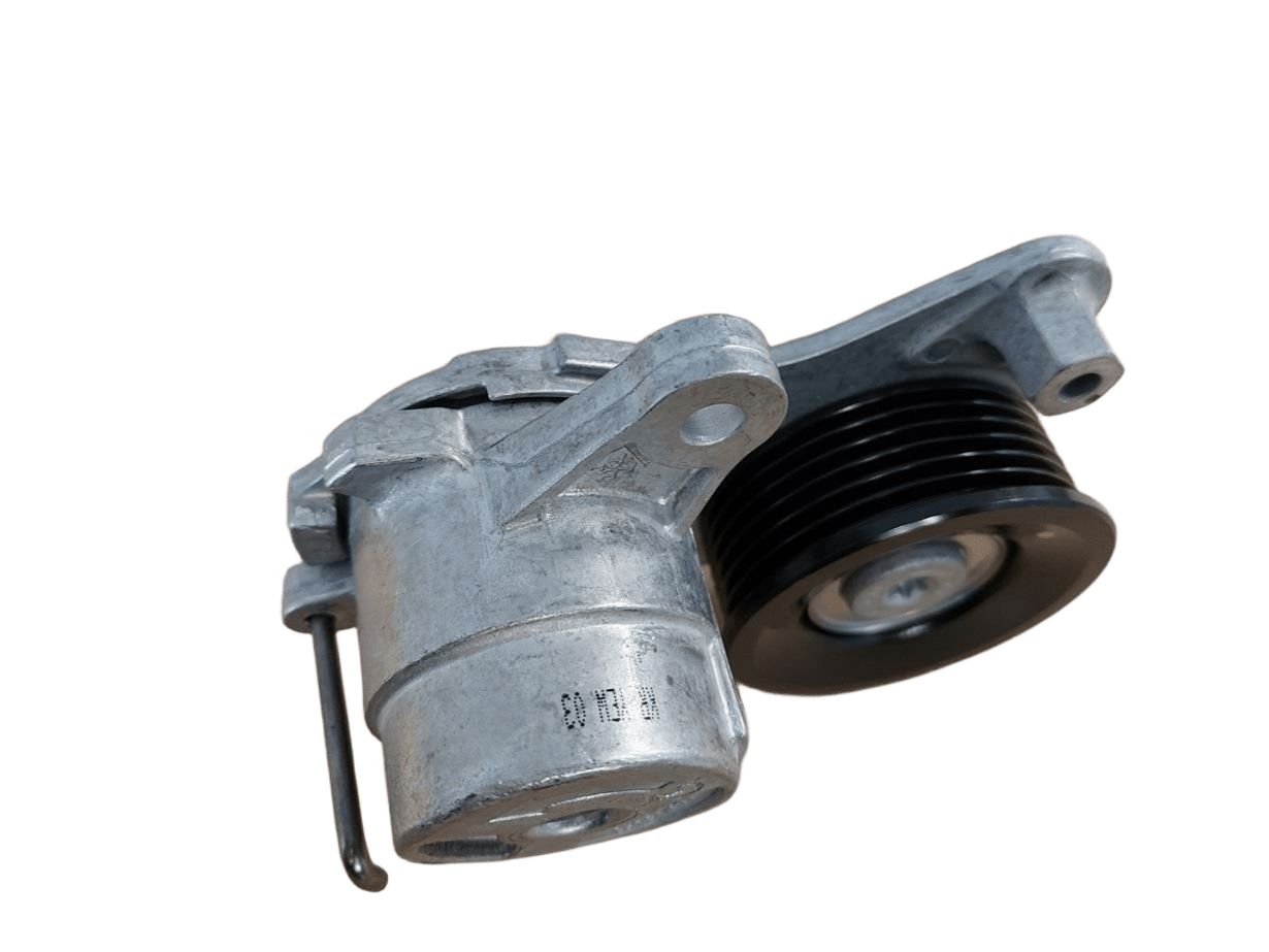 Eksantrık Gergı Yatagı 2528107005