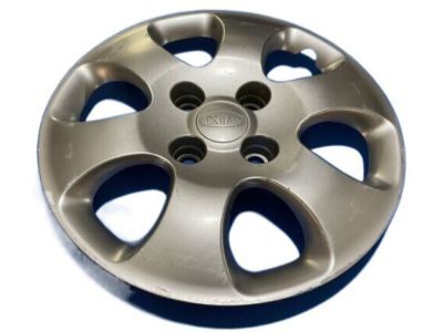 Jant Kapagı 529602F601
