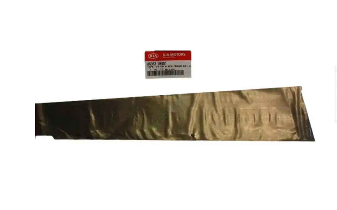 ARKA KAPI BANDI SIYAH SOL F/L 863631H001