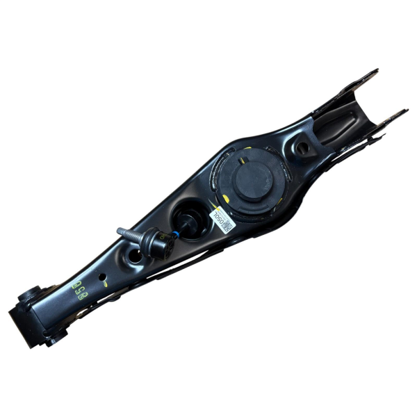 Arka Salıncak Sol 55210D3050