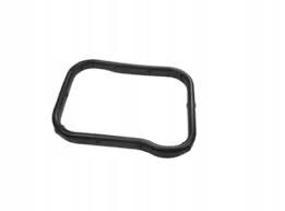Termostat Montaj Contası 256152A000