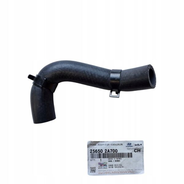 EGR SOGUTUCU GIRIS HORTUMU 256502A700