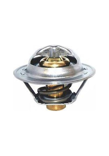 Termostat 255002A100