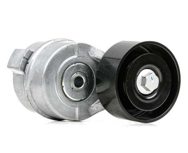 V KAYIS GERGISI 252814A010