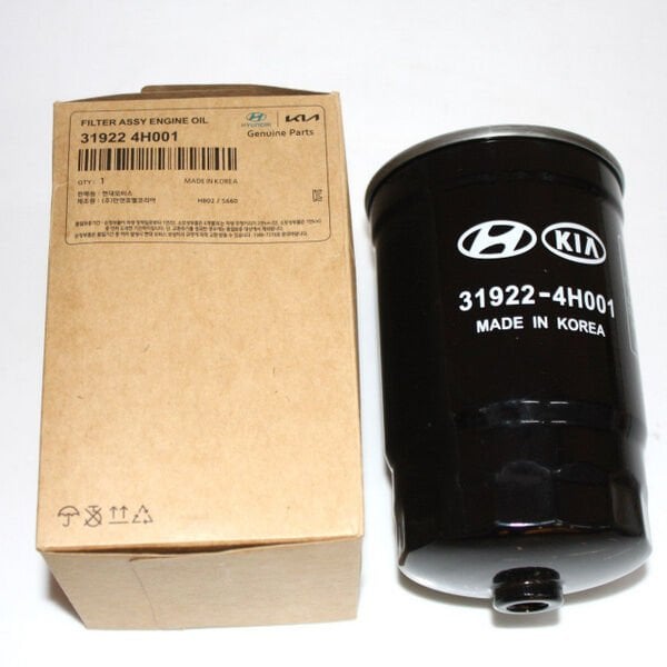 Yakıt Fıltre 319224H001