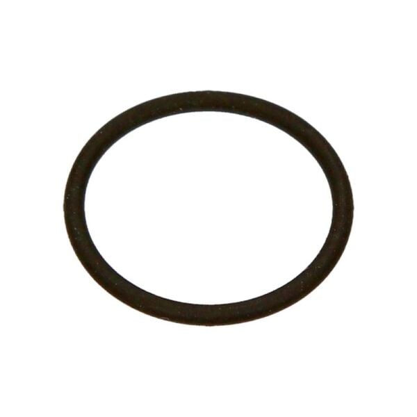 ORING ENJEKTOR 338052A000