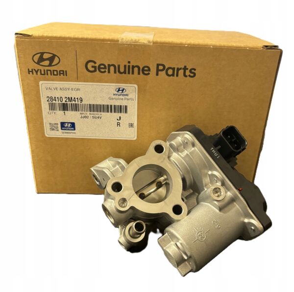 Valf-Egr 284102M419