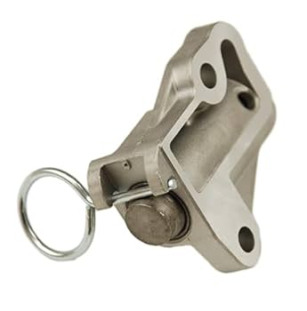 Eksantrik Gergisi 245102F101