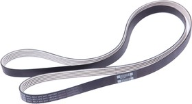 V-Kayısı 252122F320