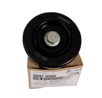 Triger Kayış Rulman Kanalsız 252872F000