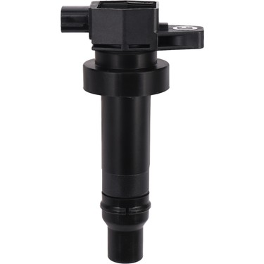 Rio Ateşleme Bobini 273012B010