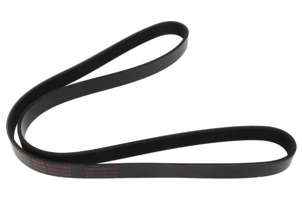 V-Kayısı 252122B740