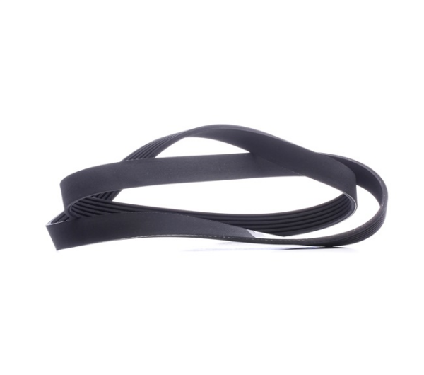 V-Kayısı 252122B740