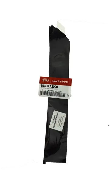 Arka Kapı Arka Sol Sıyah Band 86383A2000