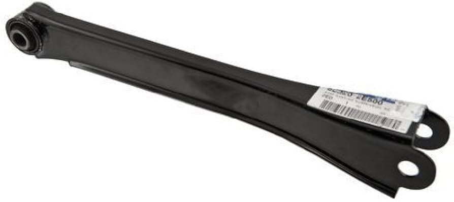 Arka Suspansıyon Rot Kolu 552202E500