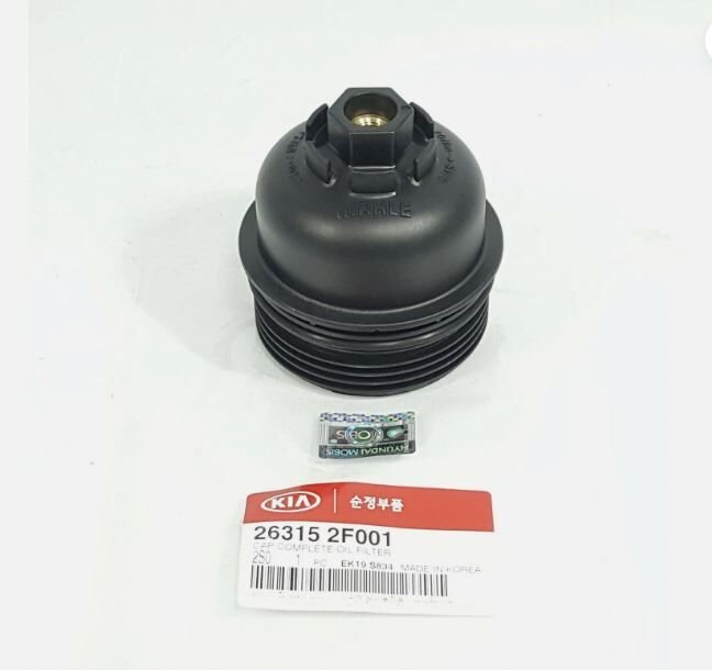 Yağ Filtre Kapak 263152F001