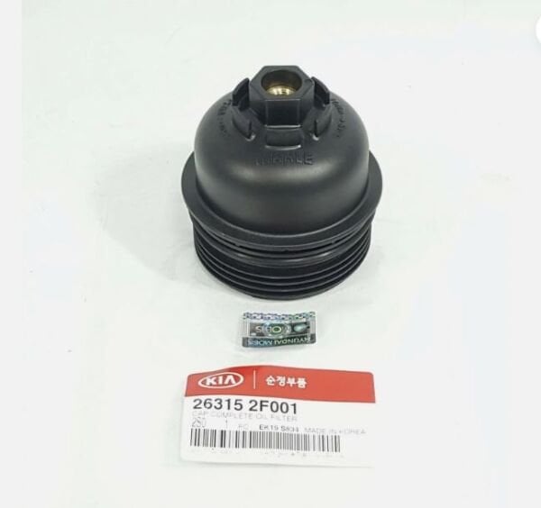 Yağ Filtre Kapak 263152F001