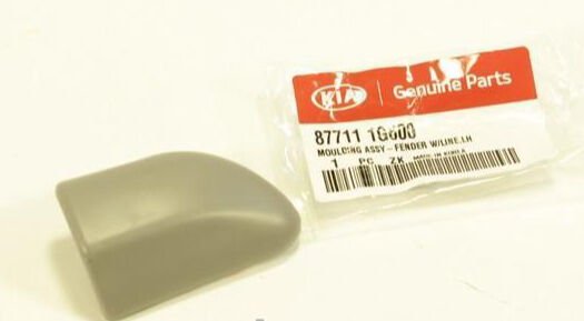 Yan Cıta Bakalıtı Sol 877111G600