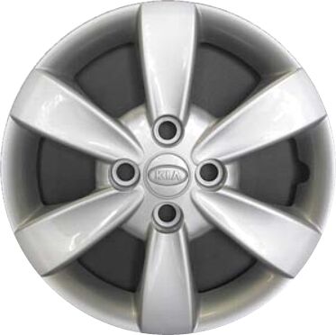 Jant Kapagı 529601G500