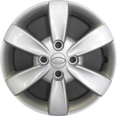 Jant Kapagı 529601G500
