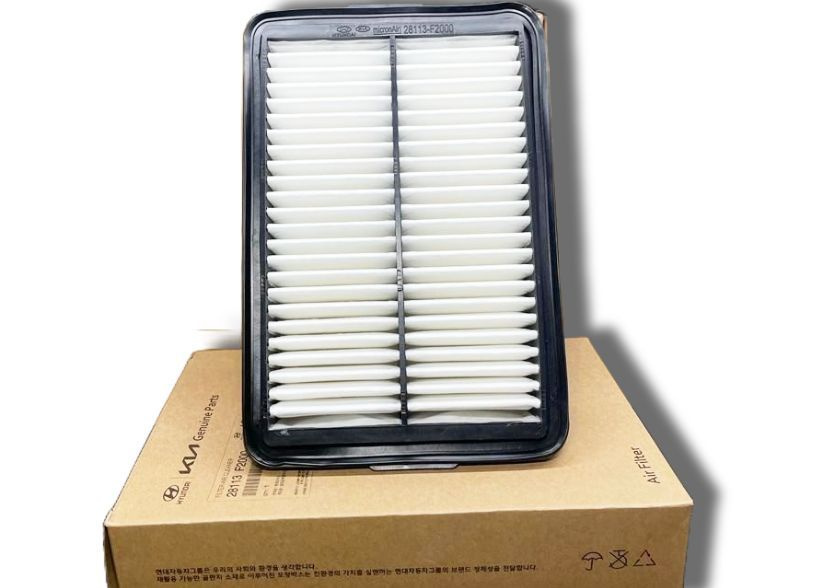 Hava Fıltresı S28113F2000