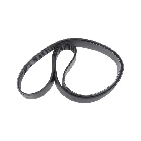 V-Kayısı 252124A011