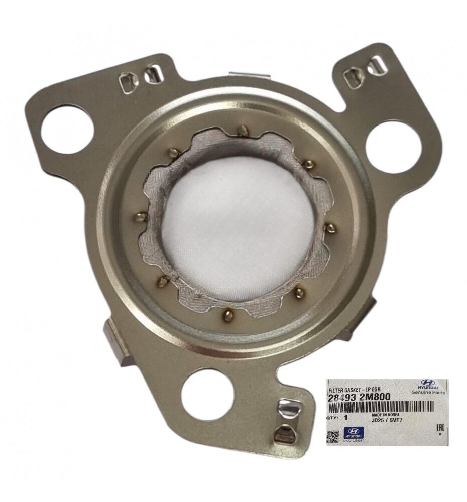 EGR FILTRE 284932M800