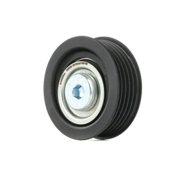 RİO V Kayıs Gergi Bilyası 252872A600