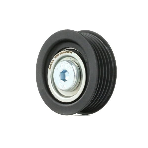 RİO V Kayıs Gergi Bilyası 252872A600